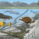 Artist’s concept of the Trans-Saharan Seaway.